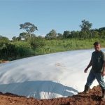 Produtor rural garante mais alimento para o rebanho e dobra producao leiteira com a mesma quantidade de animais