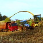 Safra de verão e a safrinha devem render mais de 3 milhões de toneladas de volume na microrregião de Francisco Beltrão. Foto: Leandro Czerniaski/JdeB. silagem