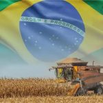 Com uma vasta extensão territorial e condições climáticas favoráveis, o Brasil se destaca como um dos maiores produtores e exportadores de produtos agrícolas do mundo.