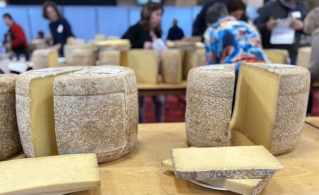 Os queijos de leite cru são uma paixão compartilhada entre produtores e consumidores no Brasil e na França.
