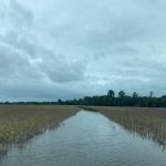 Lavoura de soja inundada. Governo estuda formas de repactuar dívidas de produtores rurais — Foto: Antonio Quinto Di Cameli