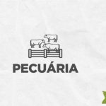 Coleta. A Secretaria da Agricultura tem atuado, juntamente com os setores produtivos, para manutenção da produção agroindustrial e abastecimento à população.