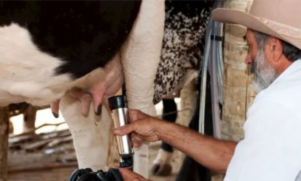 Em março de 2024, o preço do leite captado em Mato Grosso registrou uma queda de 2,80% em relação ao mês anterior