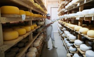 "Todos os investimentos em dólares em laticínios estão sendo direcionados para o cenário do queijo"