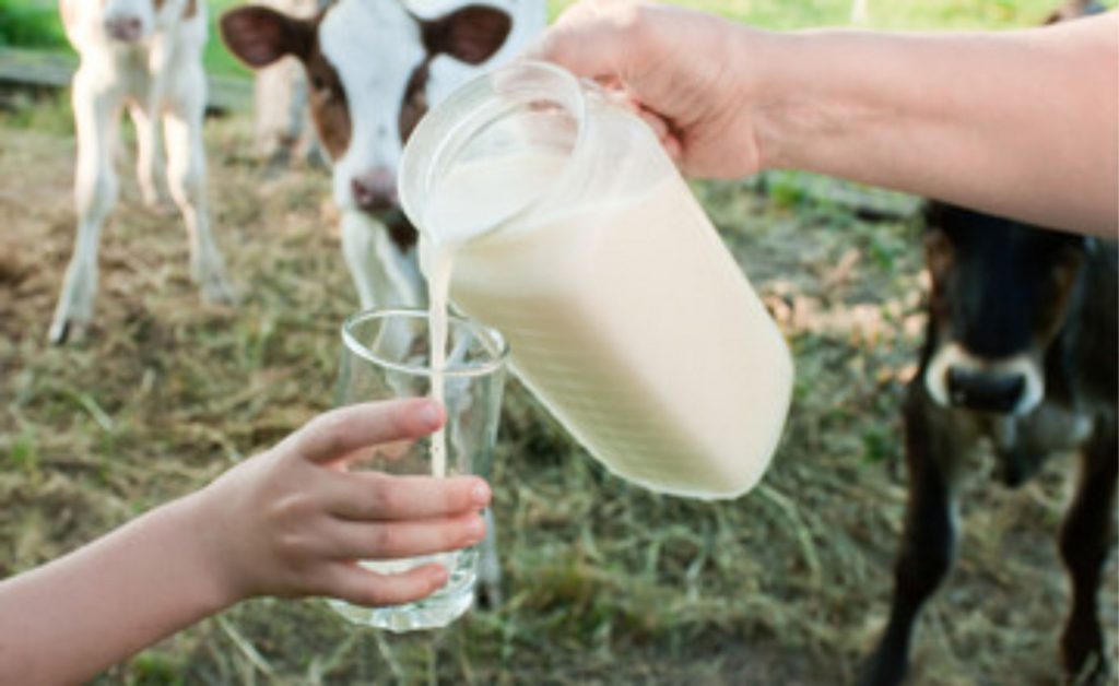 Segundo dados divulgados pelo Instituto Mato-grossense de Economia Agropecuária (Imea), as importações nacionais de lácteos registraram uma queda significativa em maio de 2024.