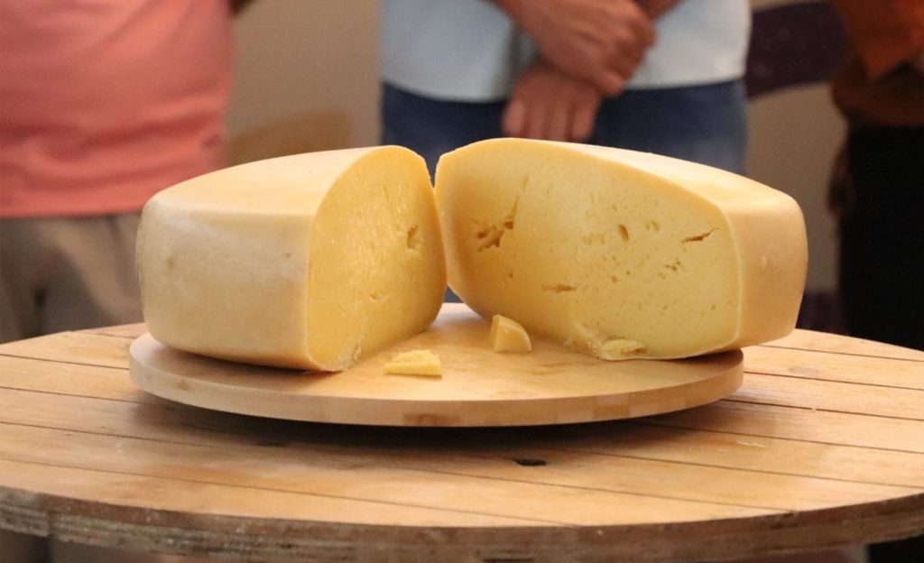 “O nosso Queijo Casca Florida é natural e os fungos são do terroir de cada região. Assim, há uma característica especial que o coloca em igual condição de competição internacional com todos os principais queijos mofados do mundo”