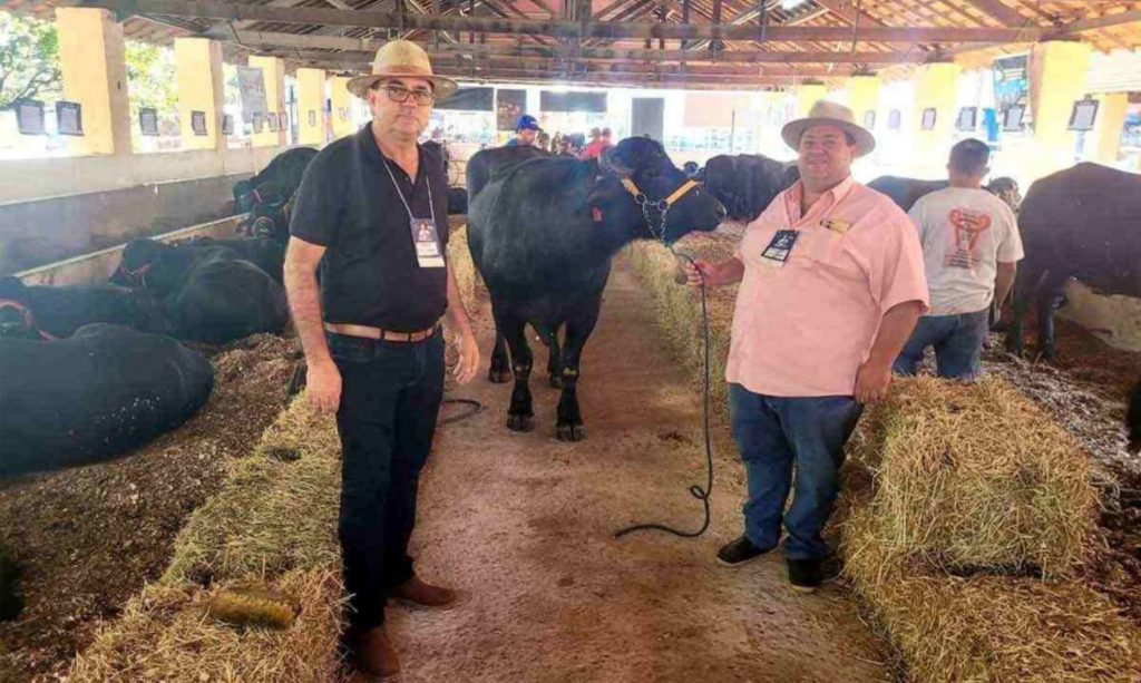 João Sousa e Caio Rossato, da Associação Brasileira de Criadores de Búfalo, com animais expostos na Megaleite