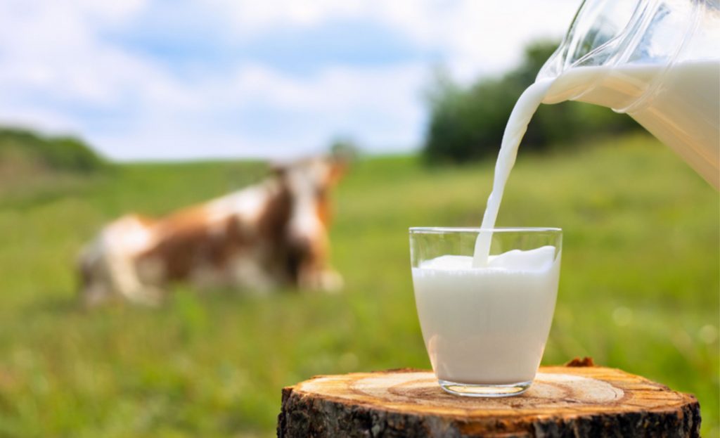 Para o consumidor existem quatro tipos de leite que podem ser comercializados: leite pasteurizado, UHT, esterilizado e em pó.  