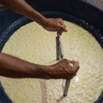 Ceará, Leite não inspecionado pode chegar ao consumidor na forma fluida ou em queijos e outros laticínios vendidos informalmente Foto: Fabiane de Paula