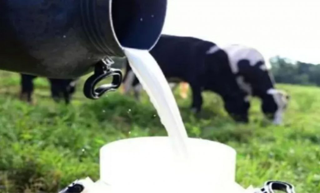 O acréscimo de 198,90 milhões de litros de leite captados em nível nacional é proveniente de aumentos registrados em 21 das 26 UFs participantes da Pesquisa Trimestral do Leite.