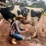 Produtor. Proprietário do Sítio Boa Esperança, Jair tem 24 vacas e 12 delas estão produzindo leite atualmente.