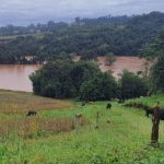 Os produtos doados de outras regiões incluem feno pré-secado e silagem.