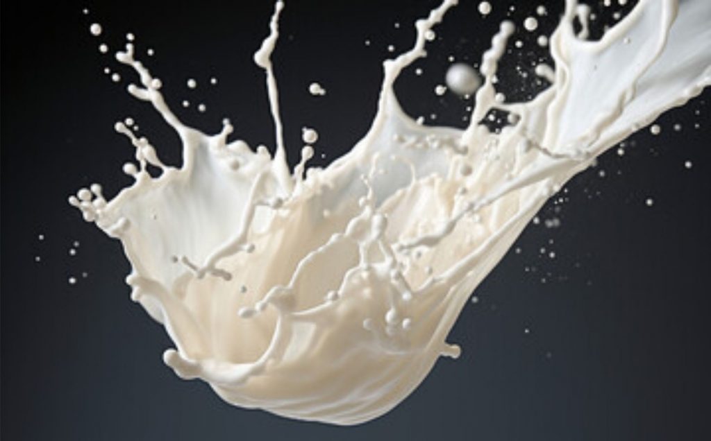 Durante a Megaleite 2024, promovida pela Associação Brasileira dos Criadores de Girolando, ocorre a competição que premia as vacas com maior produção de leite e aquelas com a melhor qualidade do leite.