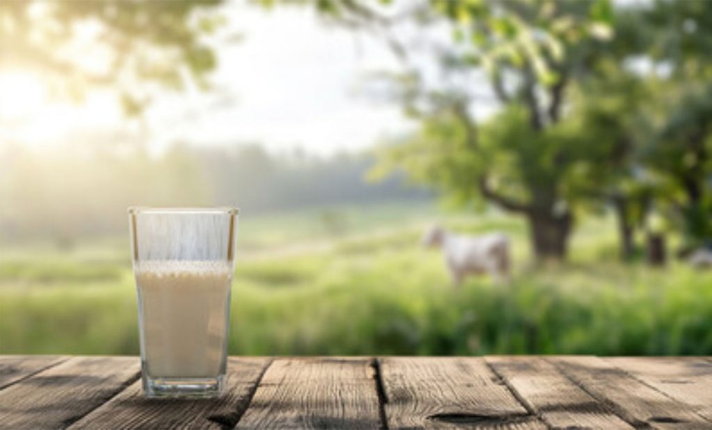 A robusta produção de leite do Brasil, faz do país o terceiro maior produtor do mundo.