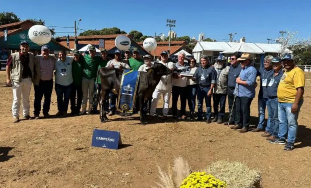 Bandoli Gomes atribui o reconhecimento nacional ao trabalho de qualidade no desenvolvimento de genética avançada, priorizando sempre o bem-estar animal e a sustentabilidade do ecossistema.