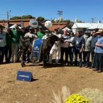 Bandoli Gomes atribui o reconhecimento nacional ao trabalho de qualidade no desenvolvimento de genética avançada, priorizando sempre o bem-estar animal e a sustentabilidade do ecossistema.