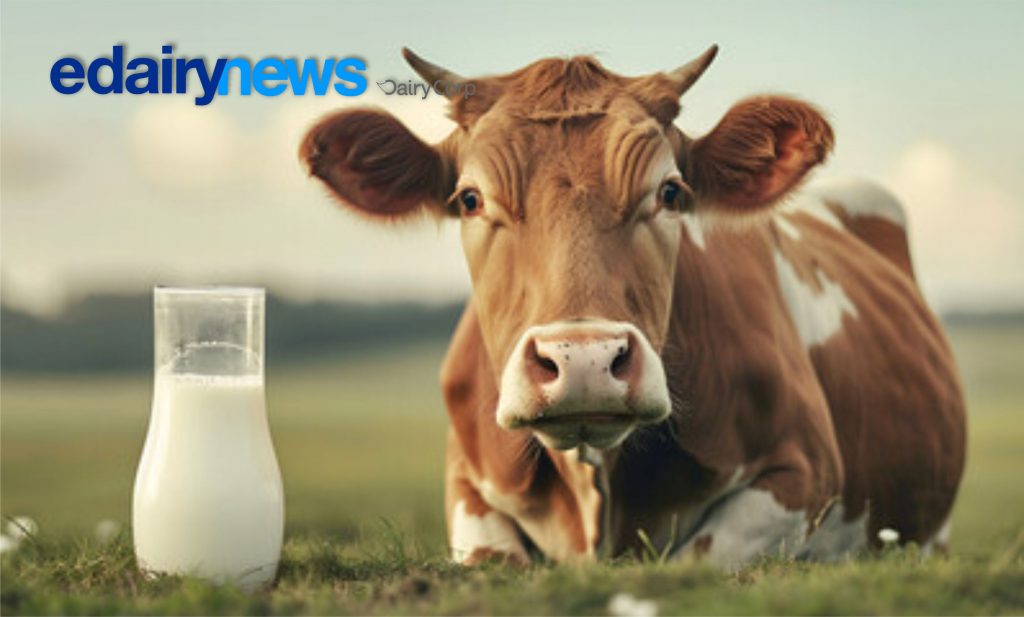Abrace o leite como parte de sua rotina, sabendo que ele está ao seu lado, contribuindo para uma vida mais longa e saudável.