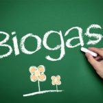 Biogas, Sergio ressaltou ainda que toda a energia produzida é consumida internamente pela empresa, estabelecendo assim um ciclo fechado de produção.