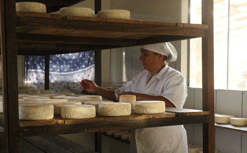 Produção do Queijo Artesanal da Canastra na queijaria Tradição Vilela (Bruno Renzi/M&E)