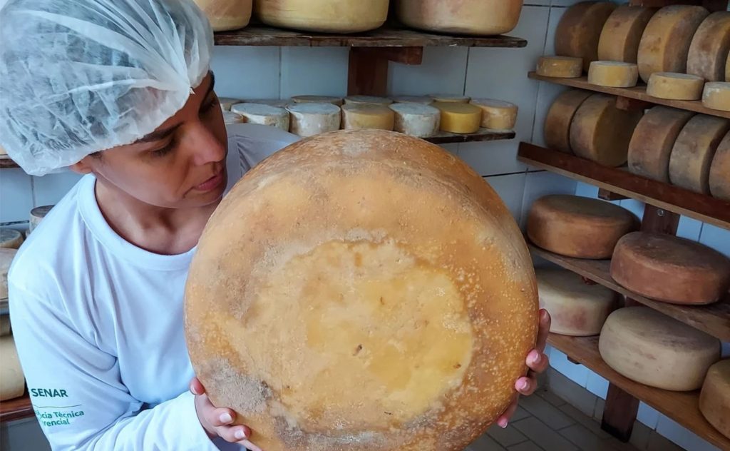 Queijo, Ao todo, produtores de 13 regiões de Minas Gerais participaram do festival