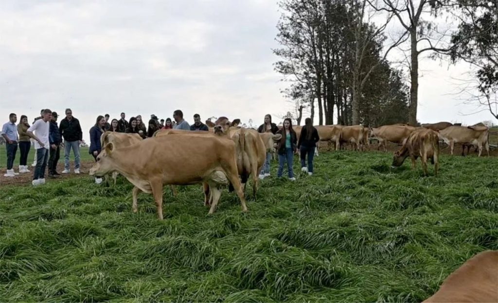 No Agroleite 2024, realizado em Castro, a Rota do Leite se destaca como uma das principais atrações, oferecendo ao público uma imersão nas práticas de pecuária leiteira da região. Foto Toninho Anhaia.