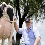 Com 200 vacas em lactação e produção de 8.400 litros de leite por dia, Armando Rabbers comemora os resultados da ordenha robótica — Foto: Fazenda Genética Arm / Divulgação Leite