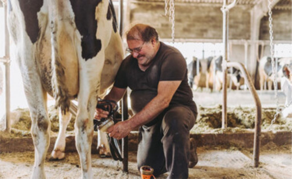 Com essa segurança financeira, os agricultores se sentem motivados a aumentar a produção, contribuindo para o crescimento acelerado da pecuária leiteira em Alagoas.