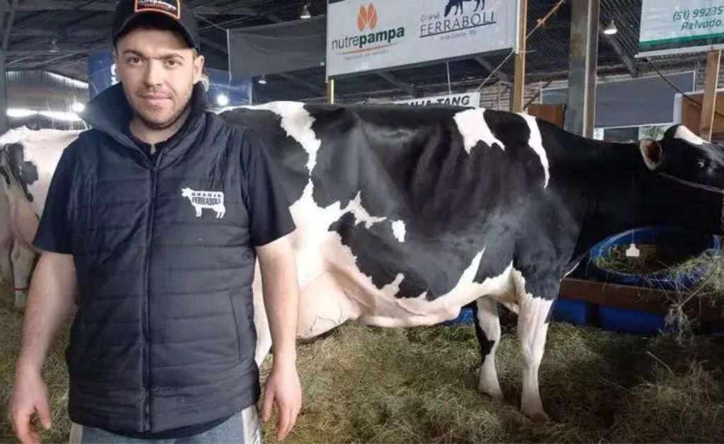 “Esse resultado é fruto de um trabalho intenso de melhoramento genético e manejo nutricional que realizamos ao longo dos anos,” comentou um dos proprietários da Granja Ferraboli, emocionado com a conquista. Expointer