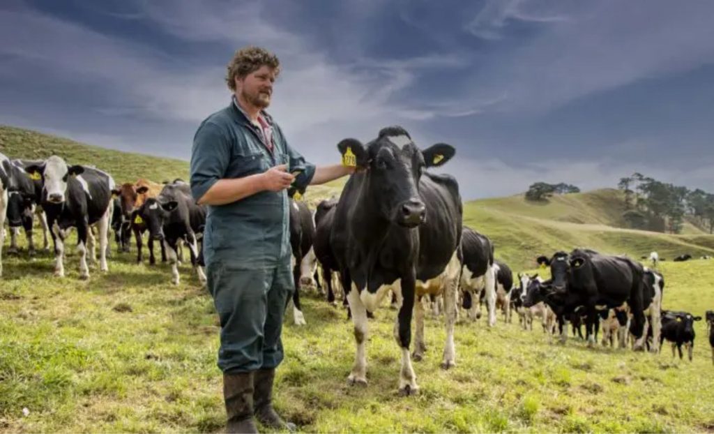 O estudo foi realizado na Áustria com frases como “Olá, querida”, “você é uma boa vaca” ou “você está indo bem, pode relaxar”.