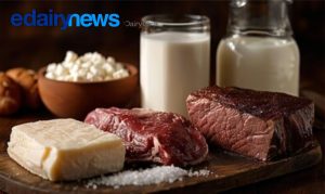 A carne e os laticínios são injustamente demonizados, quando são exatamente eles que podem fechar a lacuna nutricional global. saúde