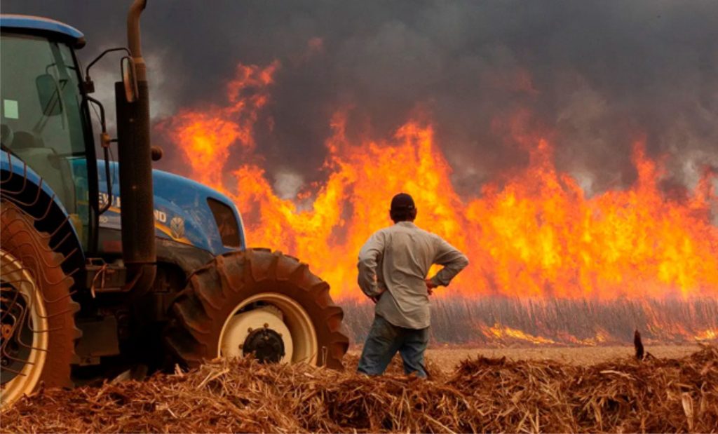 Nos últimos dias, a secretaria disponibilizou R$ 110 milhões aos produtores do Estado que foram afetados pelo fogo via Fundo de Expansão do Agronegócio Paulista. incêndios