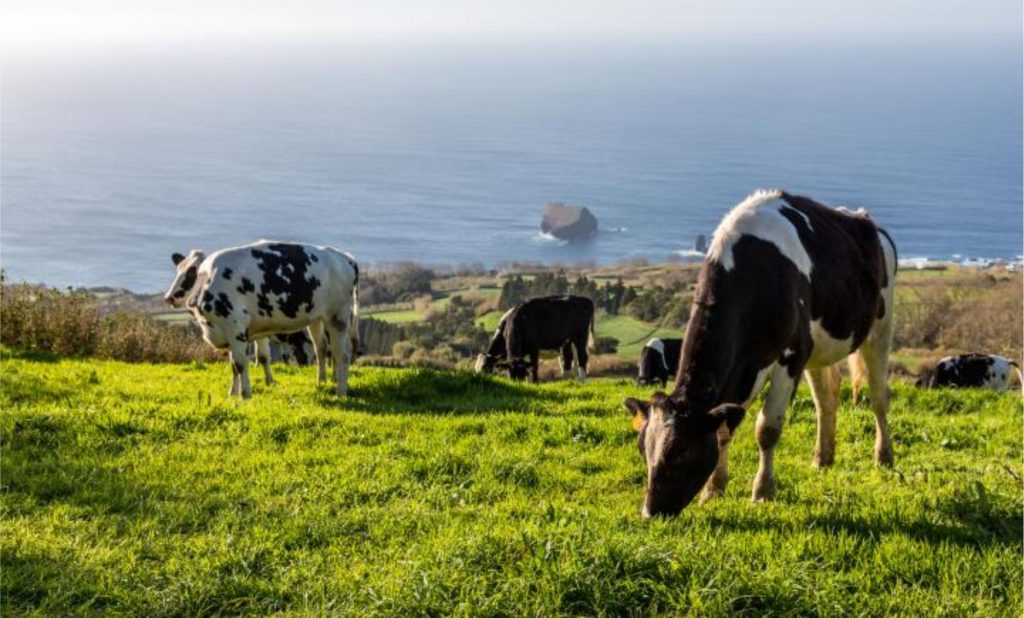 Apesar do progresso feito, as autoridades e os órgãos reguladores franceses ainda não deram o aval final e ainda estão revisando todas as informações sobre os resultados e as análises realizadas. Seca