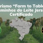 Explore os caminhos do leite Jersey, uma jornada que revela o melhor da produção de queijos finos e demais lácteos no Brasil.