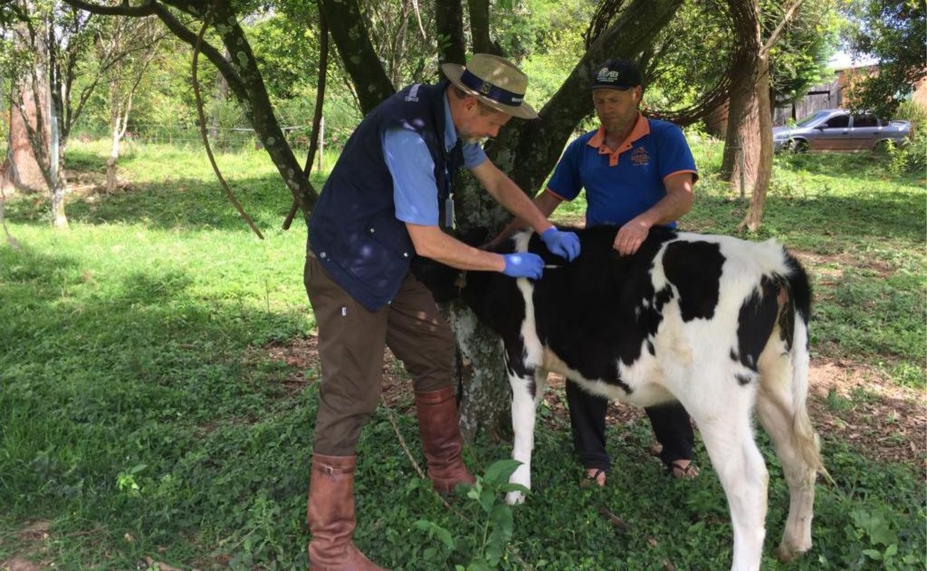 Mas para Franck, acima de tudo, o principal papel do veterinário da Emater é trabalhar com as pessoas.