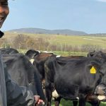 Ntsikelelo Baleni é o gerente de laticínios da Morningside Farm, em KwaZulu-Natal. Como parte da Future Farmers Foundation, ele fez um estágio na Austrália, acrescentando habilidades valiosas ao seu currículo. Fotos: Judy Stuart