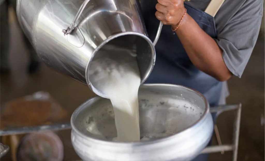 Tacho leche. Até junho deste ano já foram produzidos 5.124,84 litros de leite nos 22 municípios acreanos.