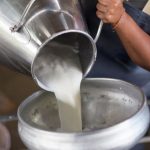 Tacho leche. Até junho deste ano já foram produzidos 5.124,84 litros de leite nos 22 municípios acreanos.