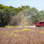 Falhas na construção da Lei da UE podem influenciar em sanções do agronegócio nacional. Foto: Wenderson Araujo/Trilux/Sistema CNA/Senar