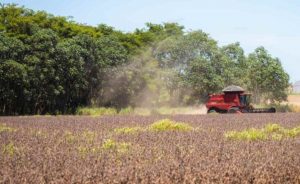 Falhas na construção da Lei da UE podem influenciar em sanções do agronegócio nacional. Foto: Wenderson Araujo/Trilux/Sistema CNA/Senar