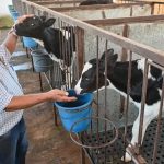 Iniciativa do Sebrae Minas promove a troca de experiências e boas práticas entre pecuaristas do Brasil e da Argentina