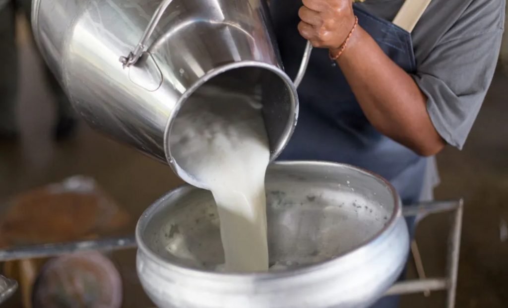 Entre os alimentos básicos, o leite UHT chama atenção, com um aumento de 6,77% no preço do litro. O valor, que era de R$ 5,17 em agosto, subiu para R$ 5,52 em setembro.