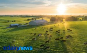 Os insights da indústria da Nova Zelândia podem ajudar o setor de laticínios brasileiro a enfrentar desafios como altos custos de produção, qualidade inconsistente do leite e regulamentações ambientais cada vez mais rigorosas.