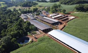 Sede da Agropecuária Guadahin, na comunidade de Vista Alegre. Foto: Leandro Czerniaski/JdeB.