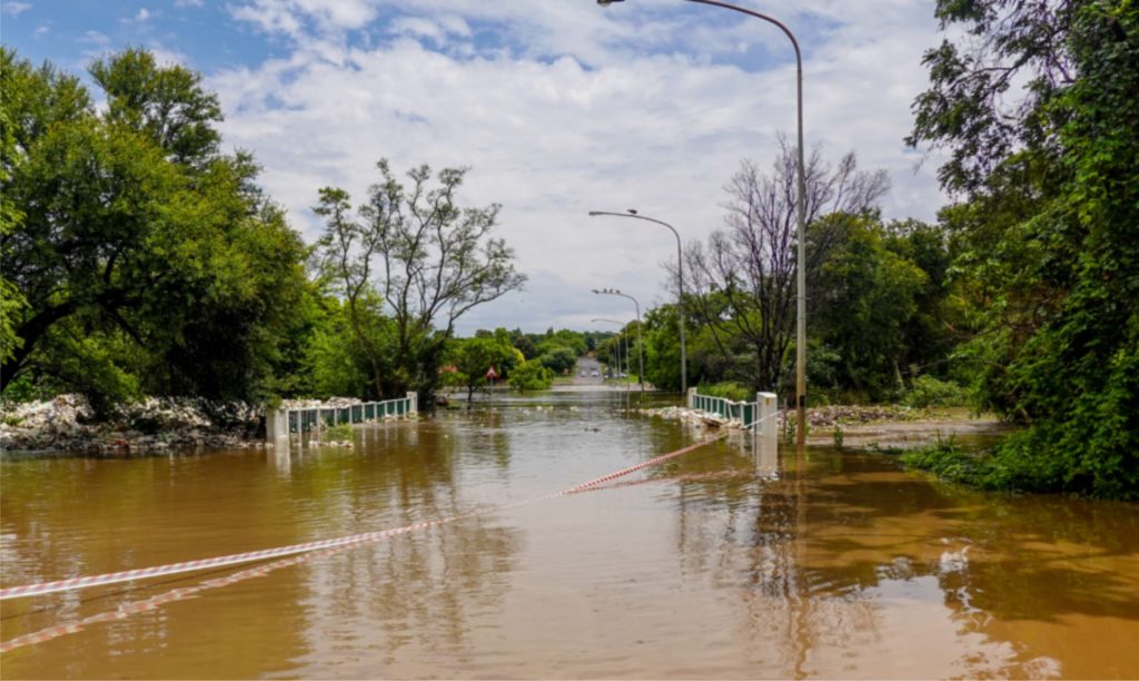 As enchentes e inundações de abril e maio desencadearam um processo muito intenso de erosão hídrica que precisa ser revertido para garantir a sustentabilidade e rentabilidade da produção pecuária no Rio Grande do Sul.