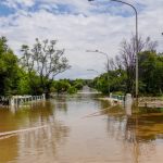 As enchentes e inundações de abril e maio desencadearam um processo muito intenso de erosão hídrica que precisa ser revertido para garantir a sustentabilidade e rentabilidade da produção pecuária no Rio Grande do Sul.