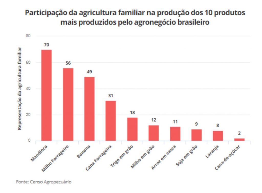 Participação da agricultura familiar na produção dos 10 produtos mais produzidos pelo agronegócio brasileiro