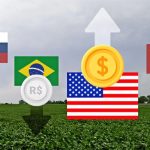 No primeiro dia de negociação de 2025, o dólar dos EUA atingiu o maior valor em dois anos. (Lori Hayes)