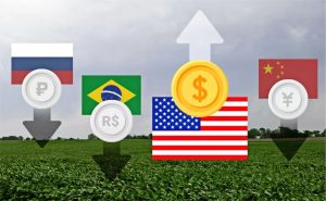 No primeiro dia de negociação de 2025, o dólar dos EUA atingiu o maior valor em dois anos. (Lori Hayes)