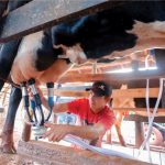 Uma das metas do Plano Estratégico de Desenvolvimento da Agricultura Capixaba (Pedeag 4) é dobrar a produção de leite no Estado até 2032 - Foto: Arnaldo Alves / ANPr.