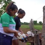 Em apenas dois anos, produção de leite cresce mais de 40 vezes em sítio de Mato Grosso